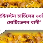 Winston Churchill Motivation Quotes | উইনস্টন চার্চিলের ৬৩টি মোটিভেশন বাণী